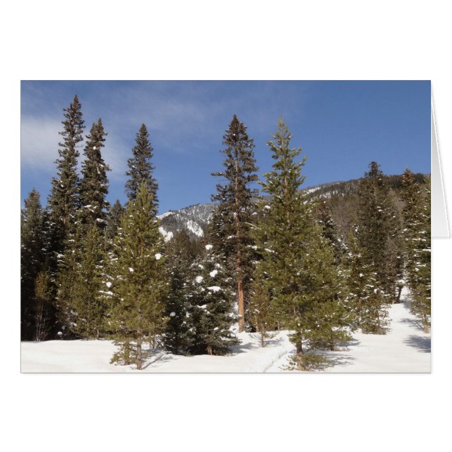 Montana Bergbahnen im Winter Landschaftsbild Foto (Vorderseite (Horizontal))