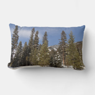 Montana Bergbahnen im Winter Landschaftsbild Foto Lendenkissen
