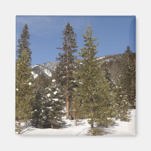 Montana Bergbahnen im Winter Landschaftsbild Foto Magnet