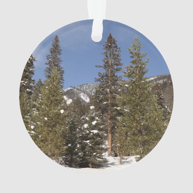 Montana Bergbahnen im Winter Landschaftsbild Foto Ornament (Rückseite)
