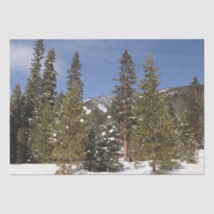 Montana Bergbahnen im Winter Landschaftsbild Foto Seidenpapier