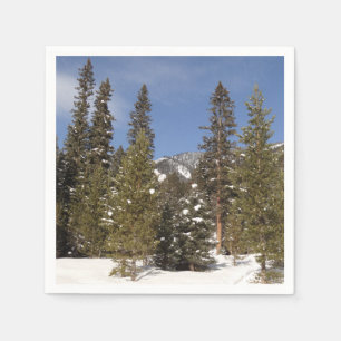 Montana Bergbahnen im Winter Landschaftsbild Foto Serviette