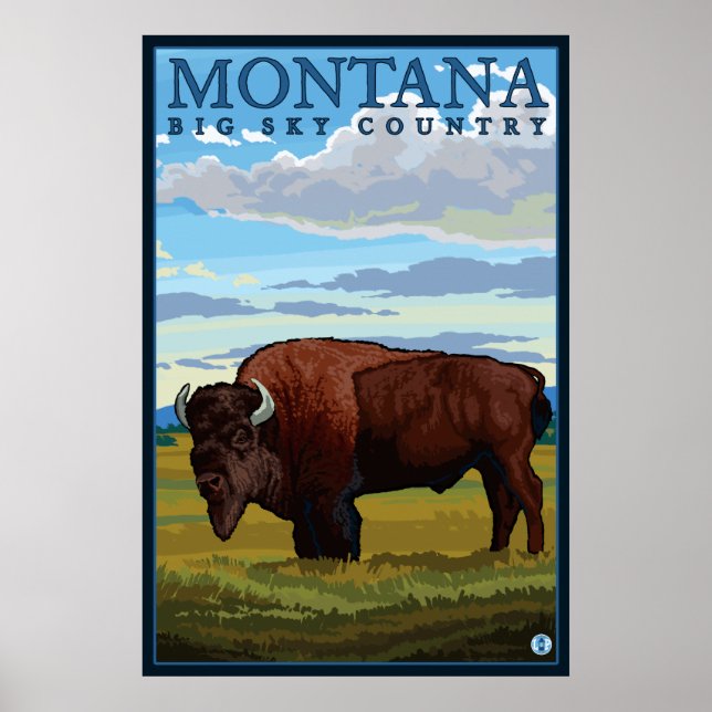 Montana - Bison Poster (Vorne)
