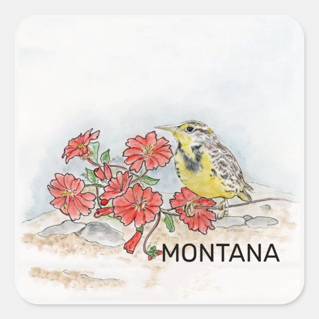 Montana-Blume Quadratischer Aufkleber (Vorderseite)