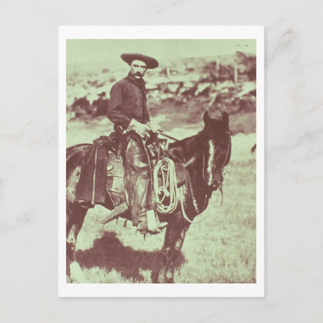 Montana Cowboy, c.1880 (b/w Foto) Postkarte (Vorderseite)