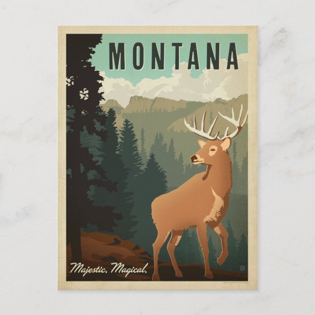 Montana Deer | majestätisch, magisch Postkarte (Vorderseite)