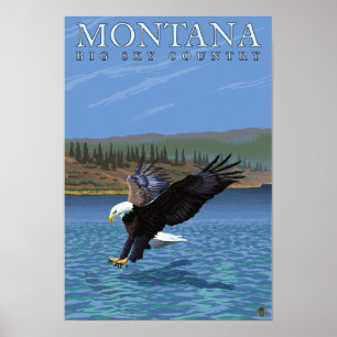 Montana -- Großer Himmel CountryDiving Eagle Poster