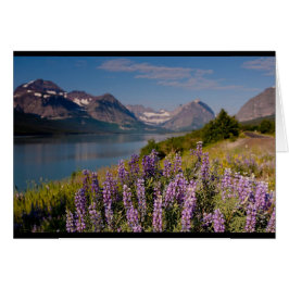 Montana - Kermas Kunst