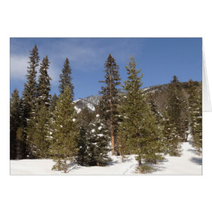 Montana Mountain Trails in Winter Landcape Photo