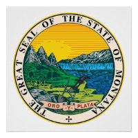 Montana Staat Siegel Amerikanische Republik Symbol