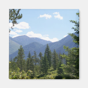 Montana Wald und Gebirge Landschaftliche Aussicht Magnet