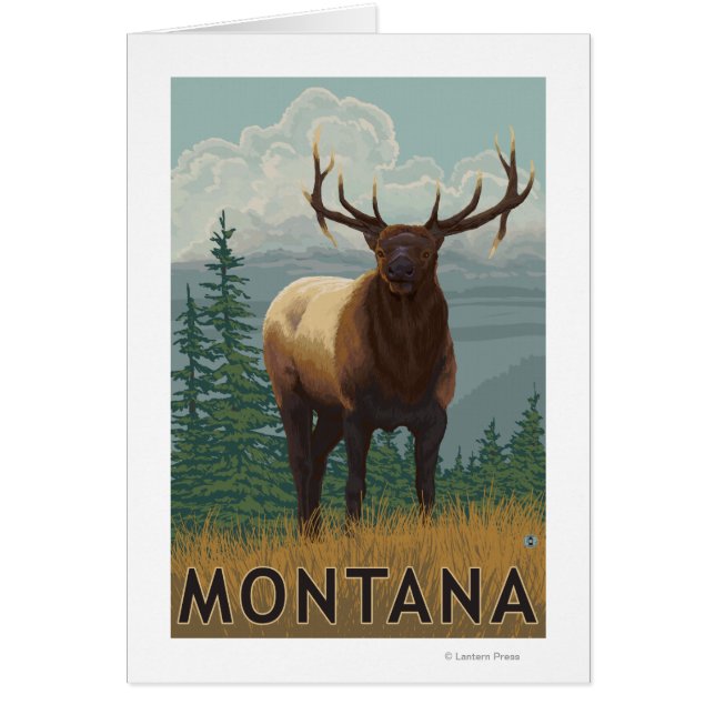 MontanaElk Scene (Vorne)