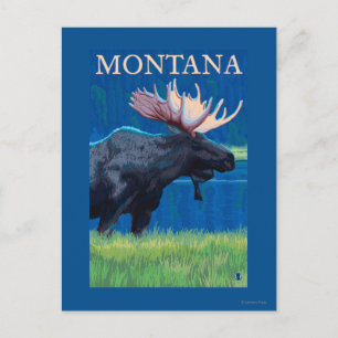 MontanaMoose Vintage Travel Poster Postkarte