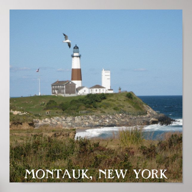 Montauk Lighthouse Seagull Love Poster (Vorne)