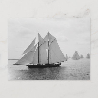 Montauk Sailboats (Juni 19.1897) Postkarte