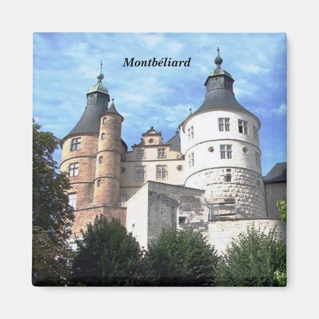 Montb � liard magnet (Vorne)