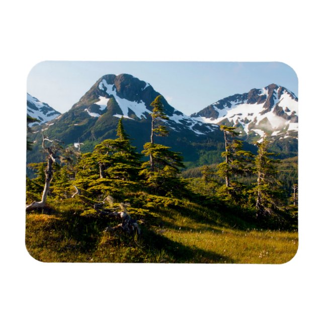 Monte Eccles bei Cordova, Alaska Magnet (Horizontal)