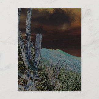 Monte Mitchell, North Carolina Postkarte