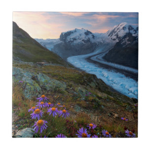 Monte Rosa Gletscher die Schweiz Fliese
