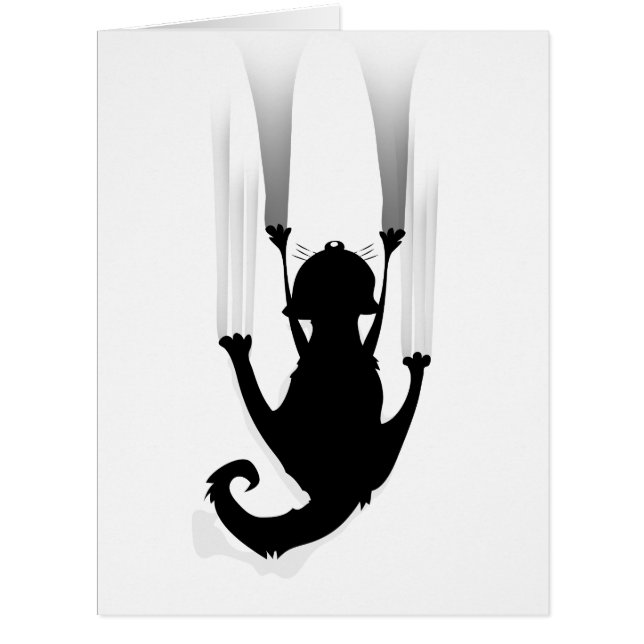 Montée de chat (Devant)