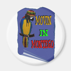 Montego Magnet