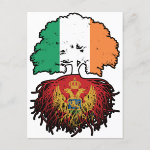 Montenegro Montenegro Montenegro Irland Tree Roots Postkarte