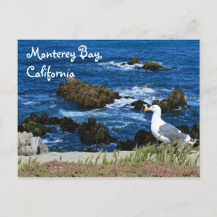 Monterey Bay, carte postale