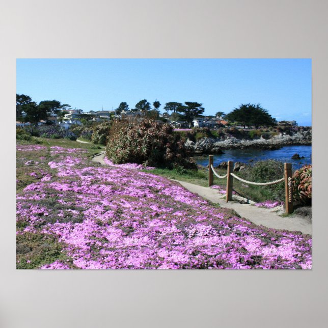 Monterey Bay Coast Line, Spring Path Foto Poster (Vorne)