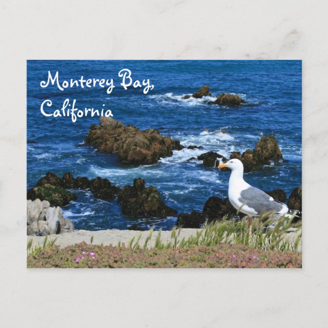 Monterey Bay, Postcard Postkarte (Vorderseite)