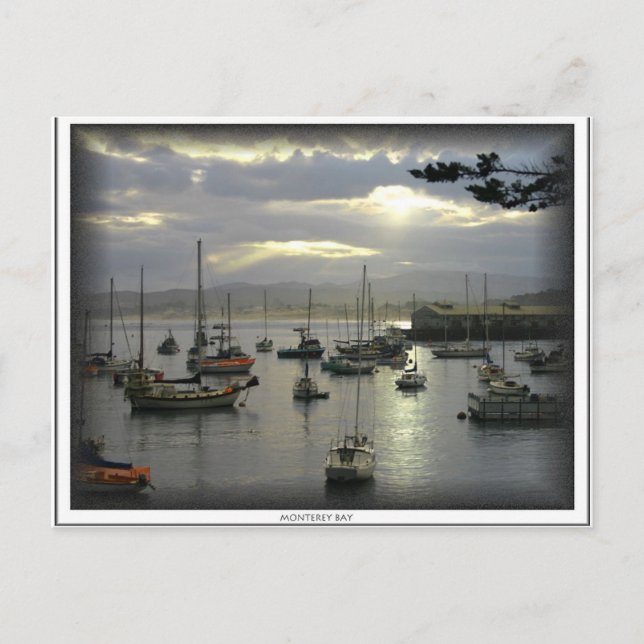 Monterey Bay Postcard Postkarte (Vorderseite)
