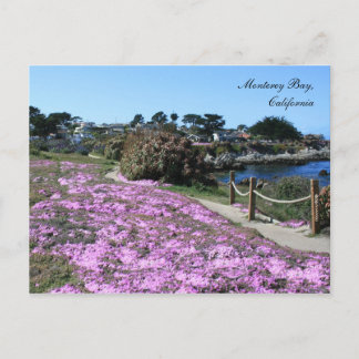 Monterey Bay, Spring Postcard Postkarte