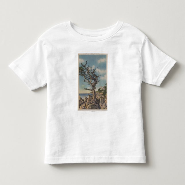 Monterey, CA - alter Hexe-Baum auf 17 Meile Kleinkind T-shirt (Vorderseite)