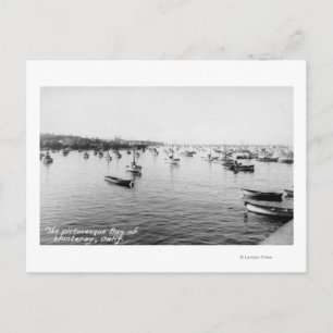 Monterey, CA - Bucht mit Hunderten von Holzbooten Postkarte