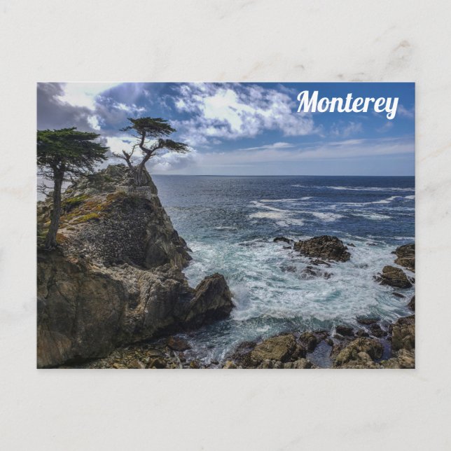 Monterey California Pebble Beach Cypress Tree Postkarte (Vorderseite)