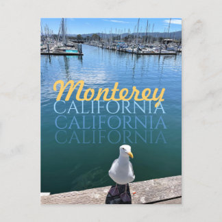 Monterey California Postcard Seagull and Sailboote Postkarte