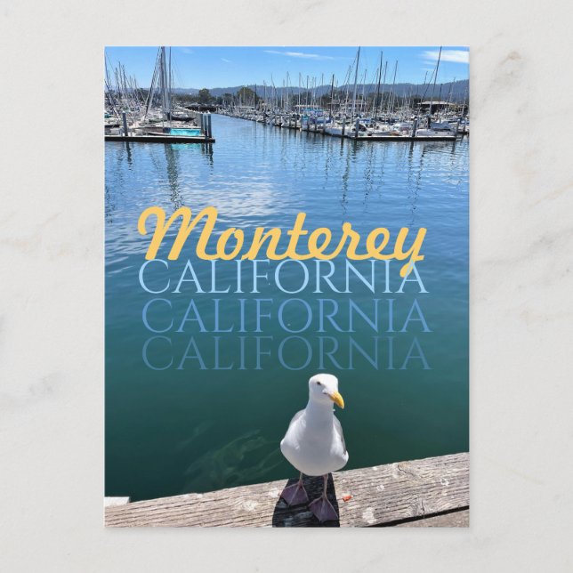 Monterey California Postcard Seagull and Sailboote Postkarte (Vorderseite)