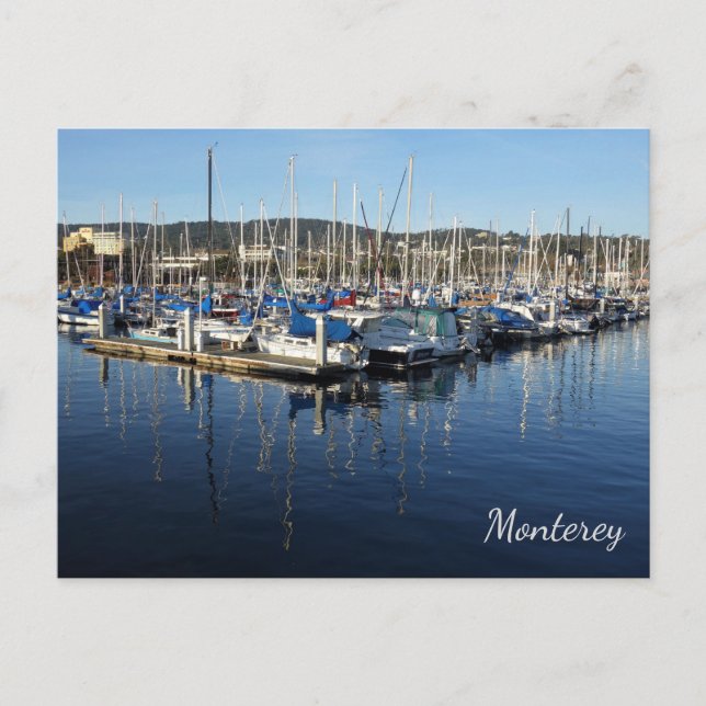 Monterey Marina, Monterey, California Postcard Postkarte (Vorderseite)