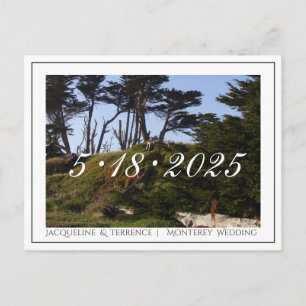Monterey Pines California Save the Date Ankündigungspostkarte