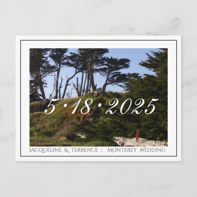Monterey Pines California Save the Date Ankündigungspostkarte (Vorderseite)