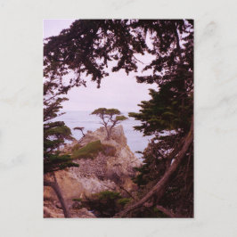 Monterey Postkarte