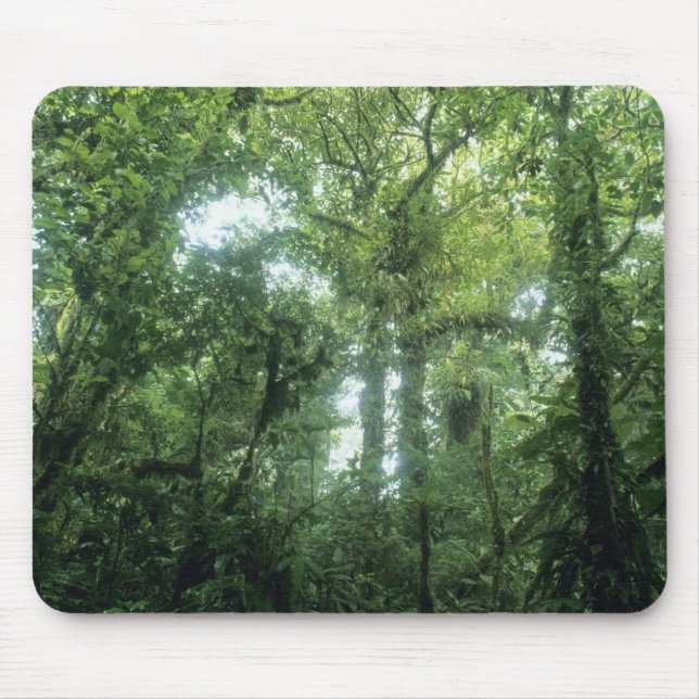 Monteverde Cloud Forest, Costa Rica. Mousepad (Vorne)