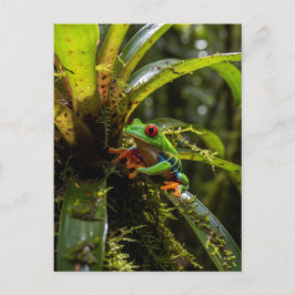 Monteverde Cloud Forest Red mit Augen Treefrog Postkarte
