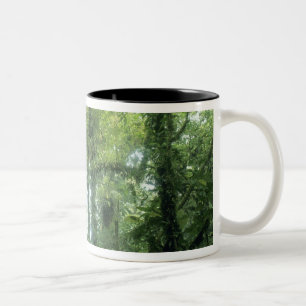 Monteverde-Nebelwald, Costa Rica. Zweifarbige Tasse