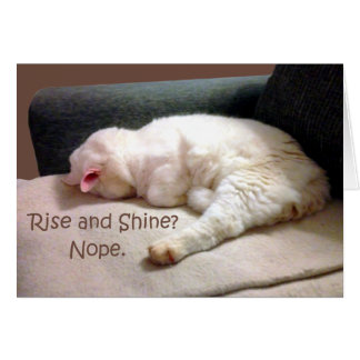 Montez et brillez ? Non.