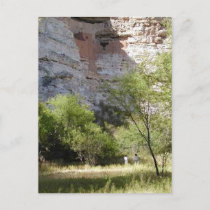 Montezuma Castle Cliff Indian Grass Trees Postkarte