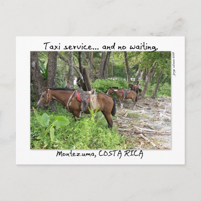 Montezuma, Costa Rica Postkarte (Vorderseite)
