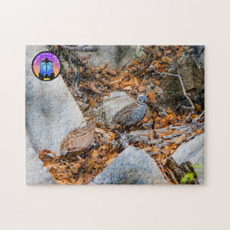 Montezuma Quail Jigsaw Puzzle Puzzle