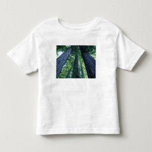 Montgomery Woods State Reserve, Kalifornien. Kleinkind T-shirt