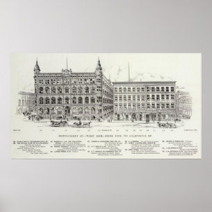 Montgomerywestseite Kiefer und Kalifornien Poster