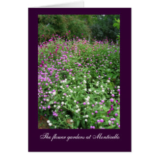 Monticello Flower Gardens